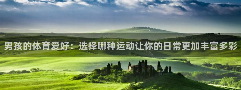 杏悦体育官网：男孩的体育爱好：选择哪种运动让你的日常更加丰富多彩