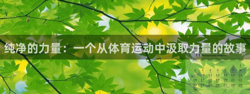 意昂3注册：纯净的力量：一个从体育运动中汲取力量的故事