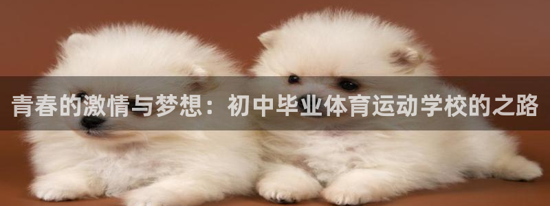 杏悦2体育登录入口：青春的激情与梦想：初中毕业体育运动学校的之路