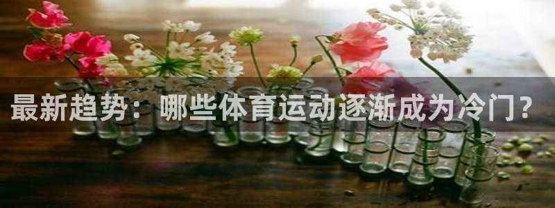 杏悦3官网：最新趋势：哪些体育运动逐渐成为冷门？