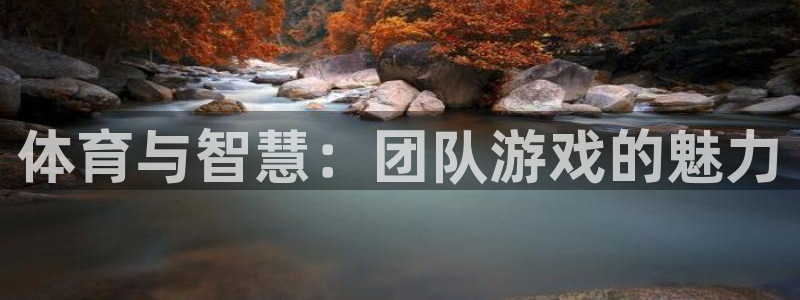 杏悦代理注册：体育与智慧：团队游戏的魅力
