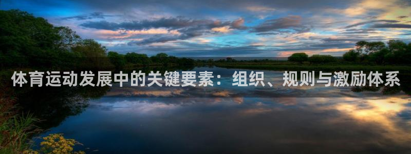 意昂4登录：体育运动发展中的关键要素：组织、规则与激励体系