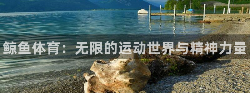杏悦官网：鲸鱼体育：无限的运动世界与精神力量