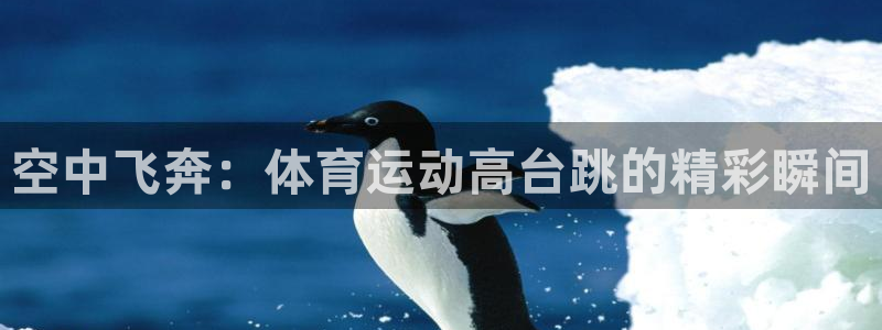 东莞市杏悦电子科技有限公司：空中飞奔：体育运动高台跳的精彩瞬间