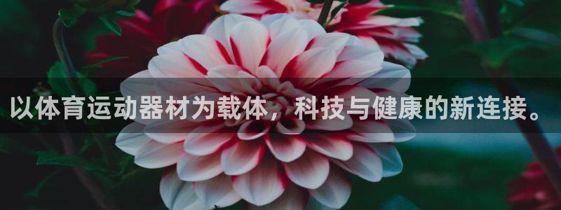 意昂扬是什么意思：以体育运动器材为载体，科技与健康的新连接。
