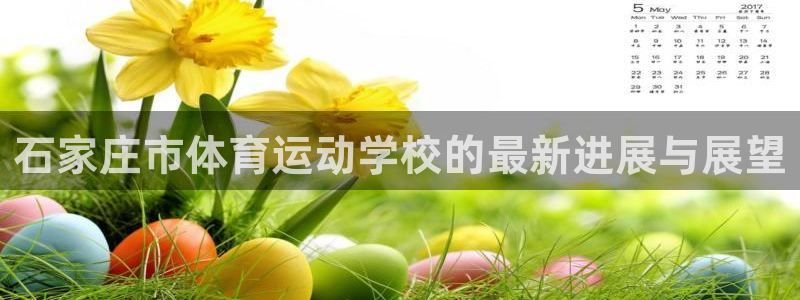 意昂平台：石家庄市体育运动学校的最新进展与展望