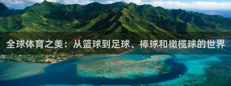 杏悦集团官网：全球体育之美：从篮球到足球、棒球和橄榄球的世界