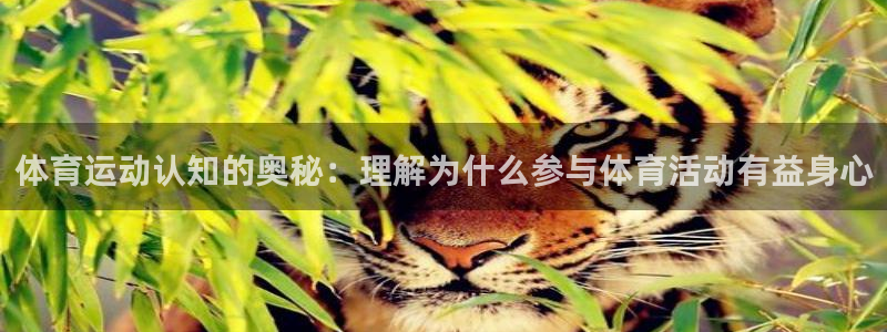 杏悦体育平台总代理：体育运动认知的奥秘：理解为什么参与体育活动有益身心