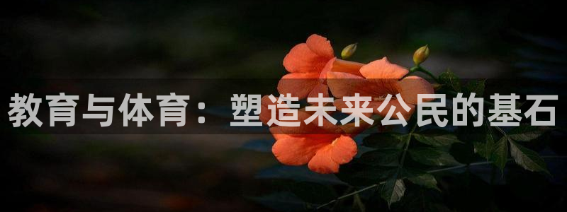 杏悦体育凯捷登陆：教育与体育：塑造未来公民的基石
