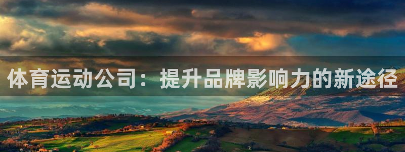 杏悦体育注册代理：体育运动公司：提升品牌影响力的新途径