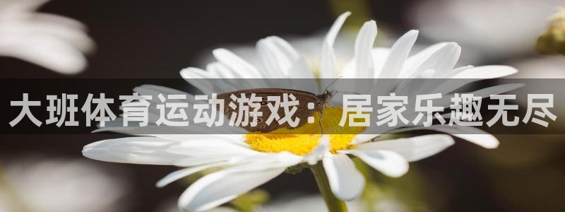 德国杏悦集团：大班体育运动游戏：居家乐趣无尽