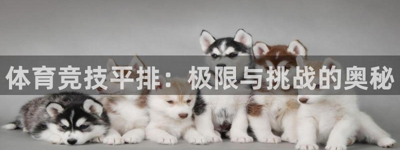 意昂体育官网：体育竞技平排：极限与挑战的奥秘