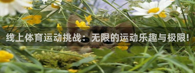 杏悦4平台注册：线上体育运动挑战：无限的运动乐趣与极限!