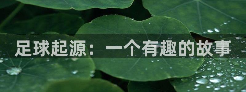 杏悦体育3在线注册：足球起源：一个有趣的故事