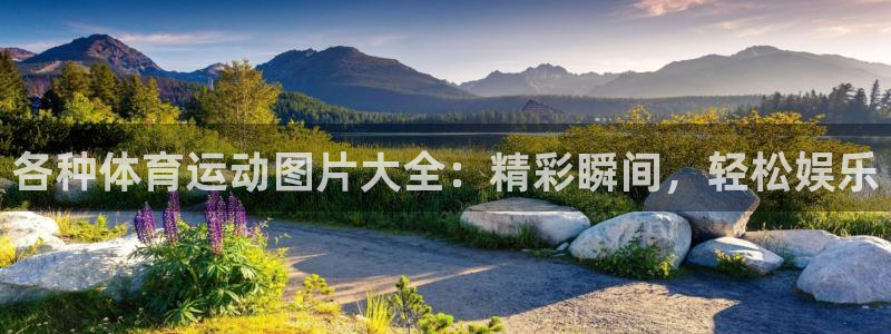 意昂主管：各种体育运动图片大全：精彩瞬间，轻松娱乐