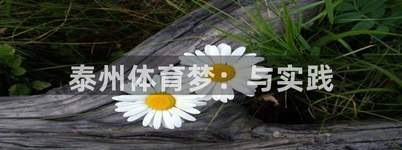 杏悦体育凯捷代理注册：泰州体育梦：与实践