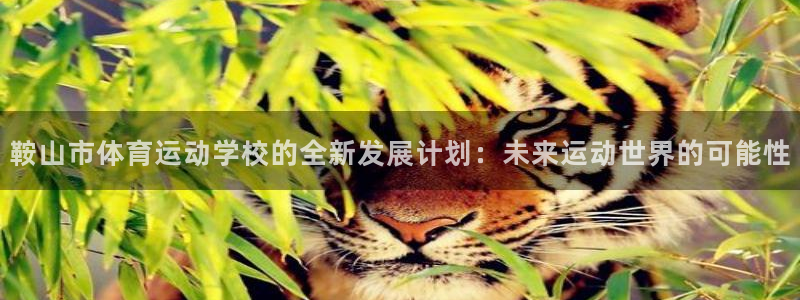 杭州意昂科技有限公司：鞍山市体育运动学校的全新发展计划：未来运动世界的可能性